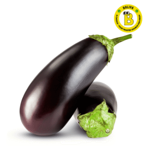 বেঙেনা/Begena- Brinjal