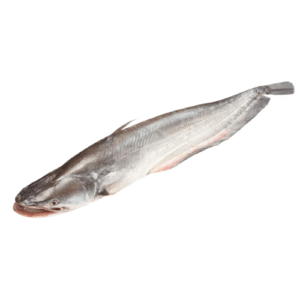 স্থানীয় বৰালি মাছ/Local Borali/Boal Fish (Whole / Cut & Cleaned)