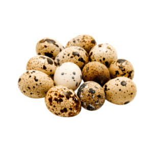 বতা চৰাইৰ কণী/Quail Eggs - Pack of 12
