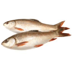 স্থানীয় ৰৌ/Local Rou/Rahu Fish - Cut Pieces, With Head