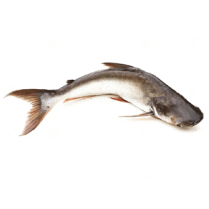 স্থানীয় কোছ মাছ/Local Kos/Kosh/Pankaj Fish (Cut & Clean)