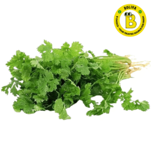 ধনীয়া পাত/Dhania Pat/Coriander (approx. 80-100g) (Pack of 2)