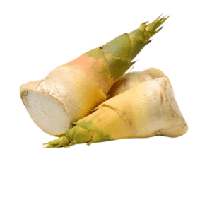 Fresh Bamboo Shoots (Bah Gaz )