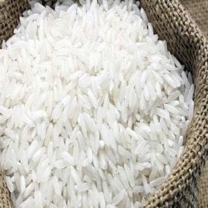 Local Ranjit Rice